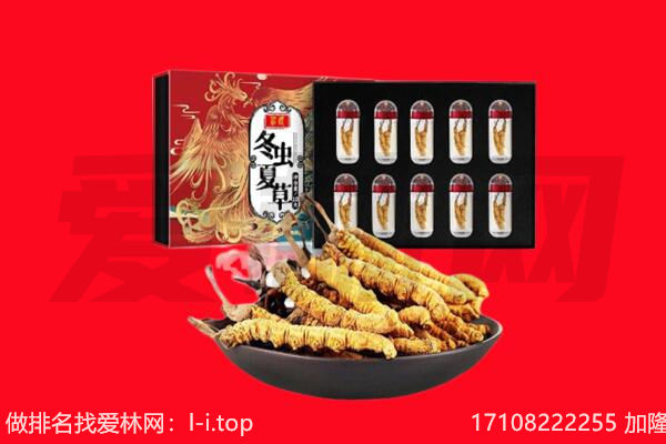 隆林县回收虫草.jpg